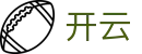 开云Kaiyun · 官网首页